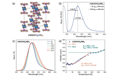 Boosting the self-trapped exciton emission in vacancy-ordered double perovskites via supramolecular assembly 2024.100306